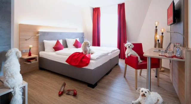 Двухместный номер Standard Landhotel Fettehenne