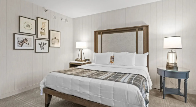 Номер Standard Knotts Hotel