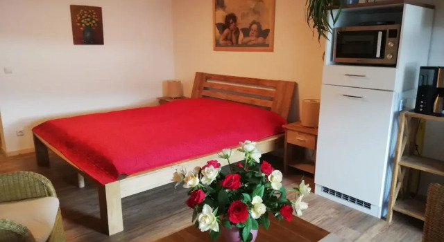 Апартаменты Classic Wellnesshof Müller Vorderburg