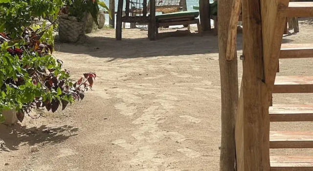 Zanzibar beach escape