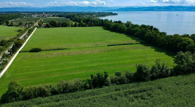 Апартаменты Wohlfühl-Apartment Auenwald im Naturschutzgebiet mit Privatstrand