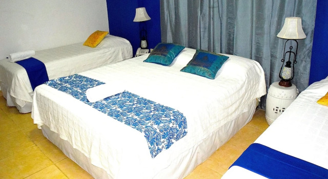 Номер Deluxe Hotel Arthaus