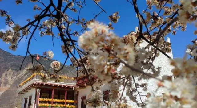 Danba Yunsu Mountain Homestay