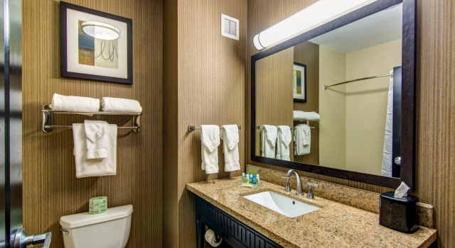 Четырёхместный номер Standard Holiday Inn Arlington NE-Rangers Ballpark by IHG