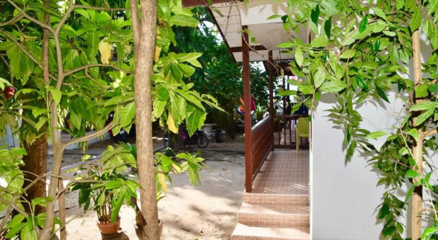 Бунгало с красивым видом из окна Magic Resort