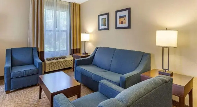 Двухместный люкс Comfort Inn Clinton