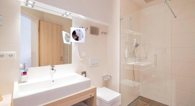 Полулюкс Hotel Adler - Paulas Alb
