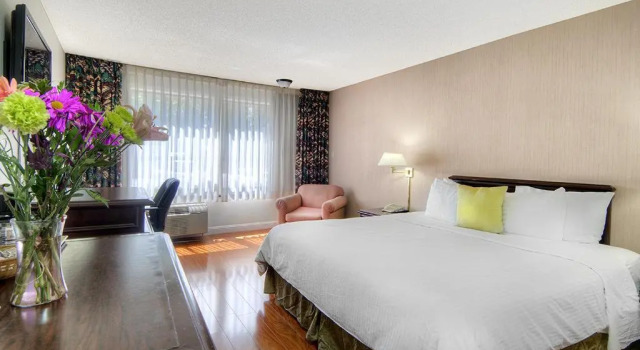 Номер Standard Days Inn & Suites by Wyndham Mountain View