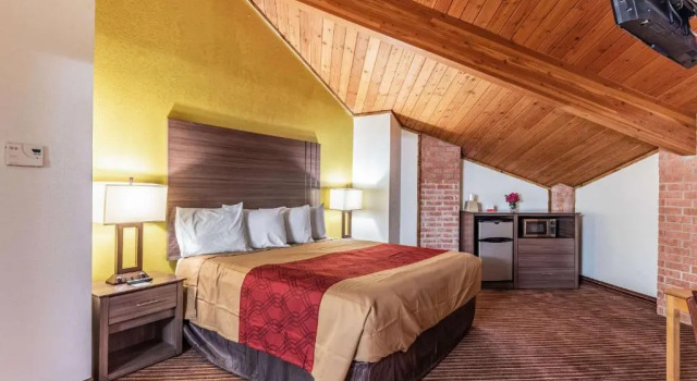 Люкс Econo Lodge Inn & Suites Mckinney - Plano North