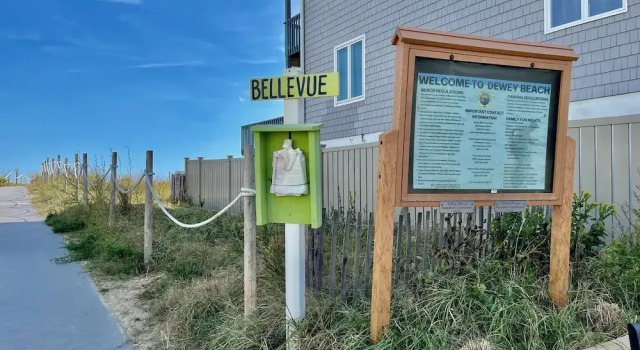 Bellevue Street 4 #6