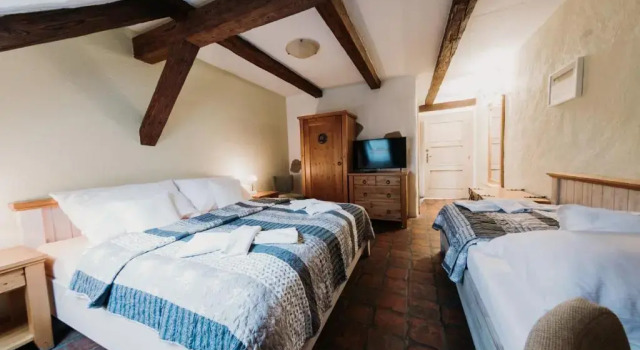 Трёхместный номер Standard Hotel U Hrabenky