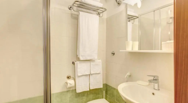 Одноместный номер Standard Hotel Flavio