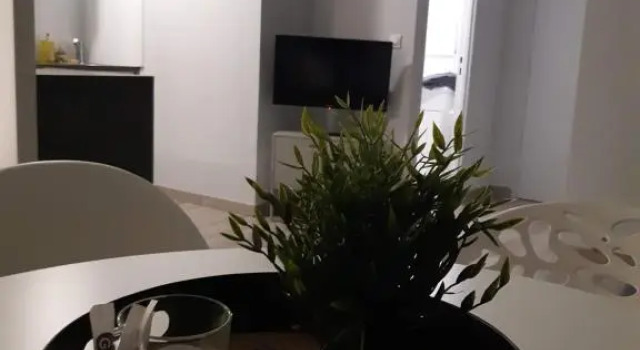 Jungle