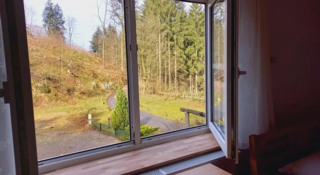 Номер Standard Waldpension Harzer Waldwinkel