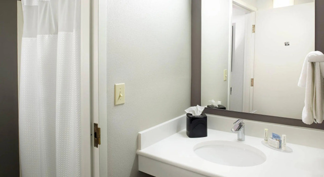Четырёхместный номер Standard Courtyard by Marriott Detroit Brighton