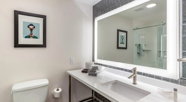 Четырёхместный номер Standard Cambria Downtown Phoenix Convention & Airport Hotel