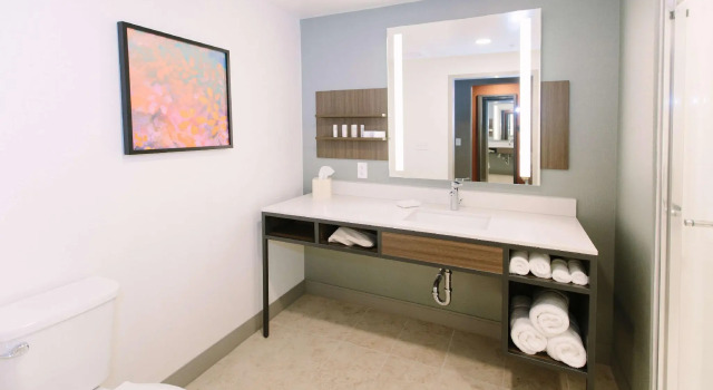 Двухместный номер Deluxe Hilton Garden Inn Winter Park, FL