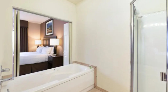 Номер Deluxe Holiday Inn Express Show Low by IHG
