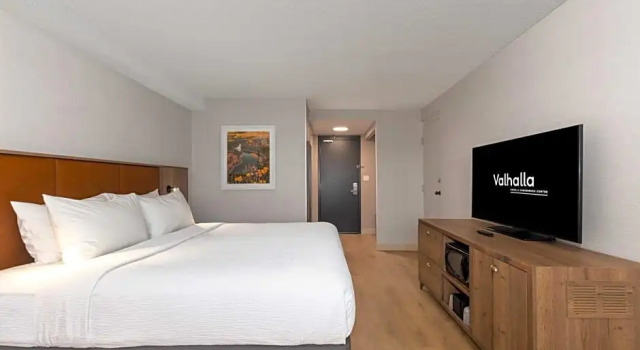 Номер Business Valhalla Hotel & Conference Centre