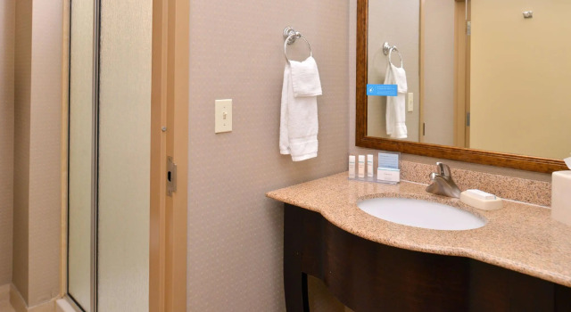 Двухместный номер Standard Hampton Inn Van Horn