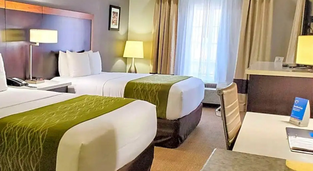 Четырёхместный номер Standard Comfort Inn & Suites Near Universal - N Hollywood - Burbank
