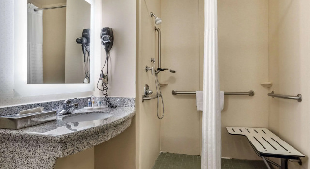 Четырёхместный люкс Comfort Suites Flowood - Jackson Airport