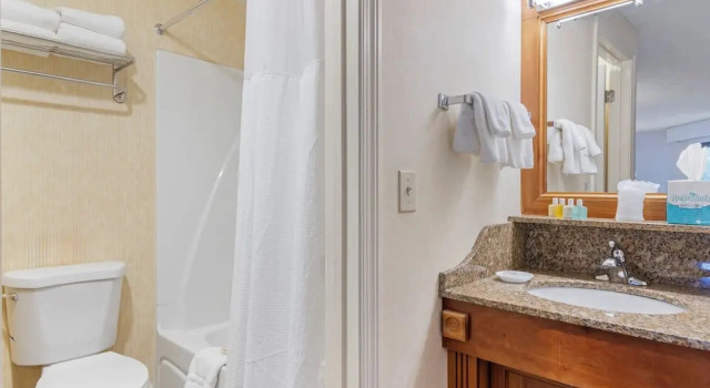 Двухместный номер Grand The Meadowmere Resort