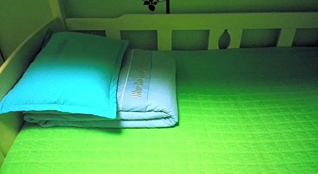 Camera familiare Blue Backpackers Hostel