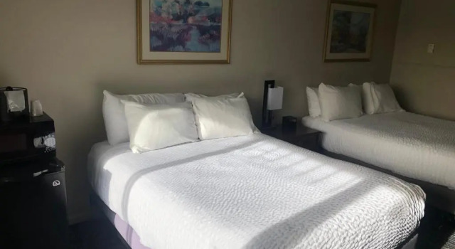 Deluxe værelse Satellite Hotel