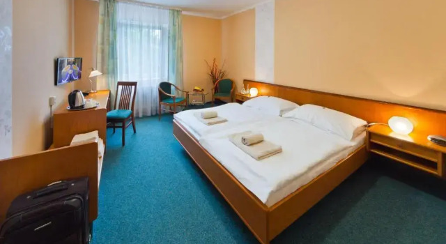 Двухместный номер Standard Hotel Panorama