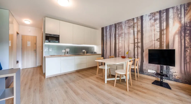 Студия с балконом Apartamenty Sun & Snow Euronia