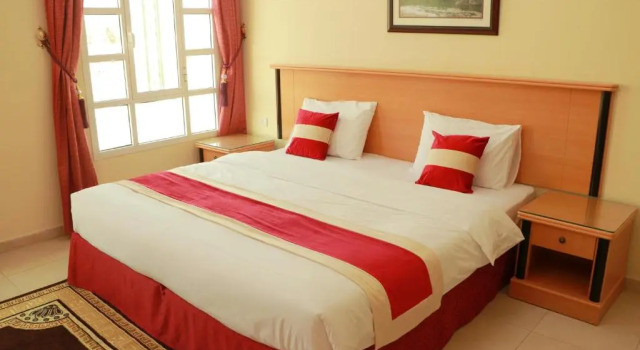 Двухместный номер Standard Al Nile Hotel