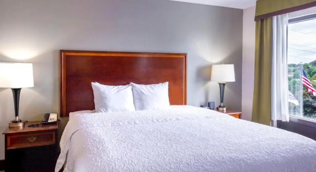 Двухместный люкс Executive Hampton Inn Winston-Salem Hanes Mall
