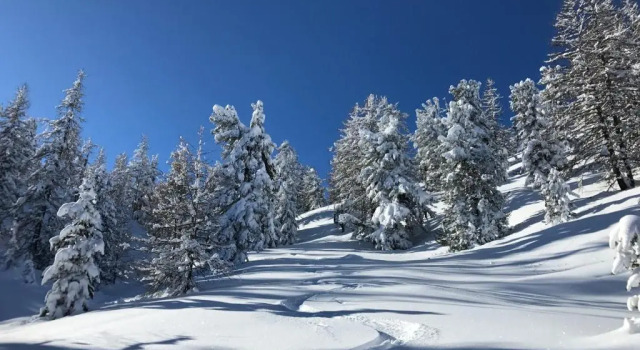 Апартаменты L'Alpi Cozie, rénové en 2020, pied des pistes et spa