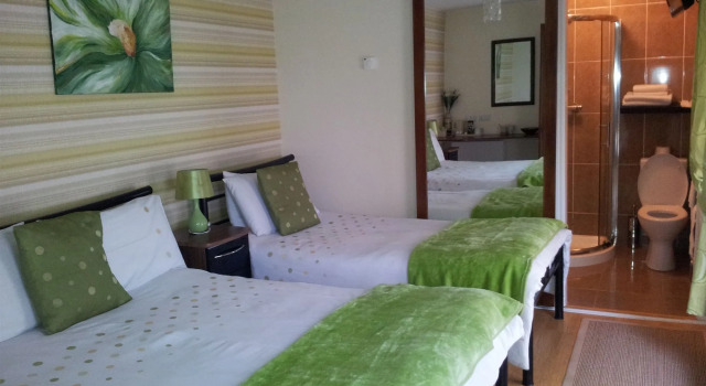 Rose Park House Bed & Breakfast