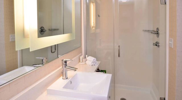 Двухместная студия SpringHill Suites by Marriott Voorhees Mt. Laurel/Cherry Hill