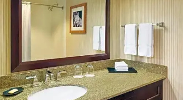 Номер Standard Sheraton Roanoke Hotel & Conference Center