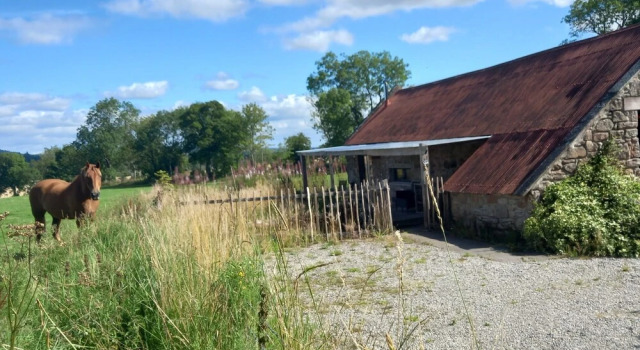 1 Bedroom Bothy on the Outskirts of Evanton, Book Hotel Evanton Northern Highlands