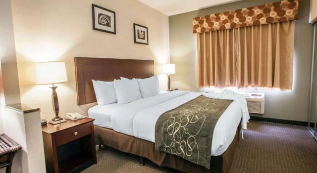 Номер Standard Comfort Suites Elgin Northwest