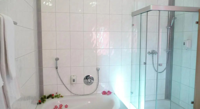 Люкс Hotel Haslbach FGZ
