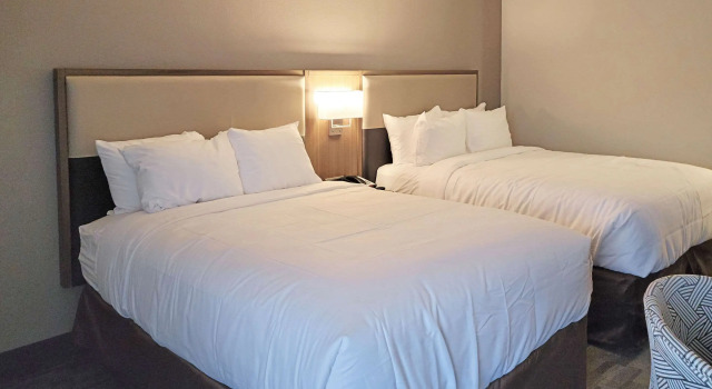 Четырёхместный номер Standard Comfort Inn & Suites Wyomissing-Reading