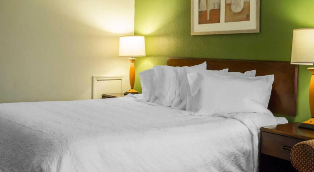 Номер Standard Econo Lodge Washington NC North