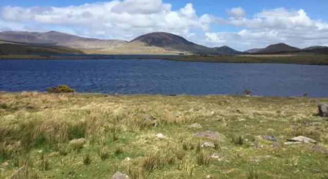 Western Greenway B&B, Book Hotel Newport Mayo