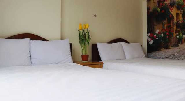 Phuc Da Lat Hotel, Rezervovat Hotel Dalat Lam Dong