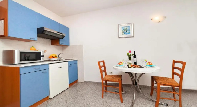 Студия Apartment Villa Lidija