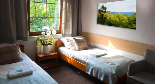 Номер Standard Hotel Górski Czarna Góra