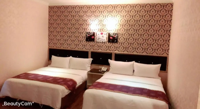 Номер Standard Jungle City Motel