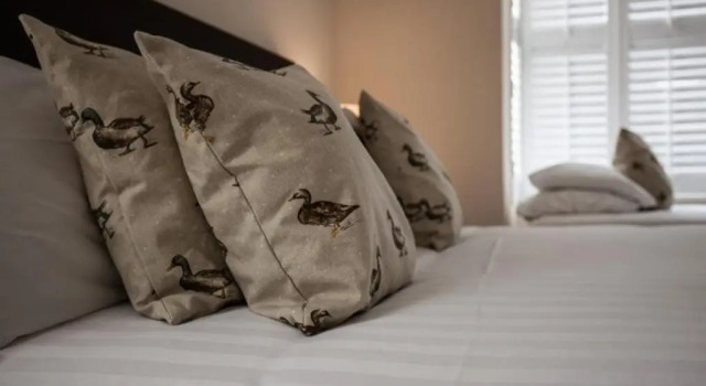 Номер Standard Bridge Hotel Brandon