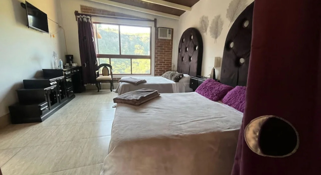 Апартаменты Grand La Palapa & Posada Mía