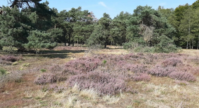 't Grieze Huysje, Rezervasyon Otel Otterlo Veluwe